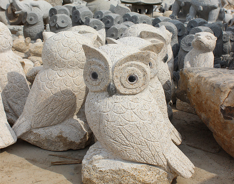 6b.jpg
