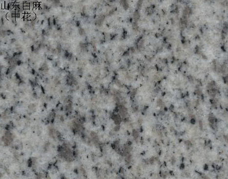 G3765(白麻小花)
