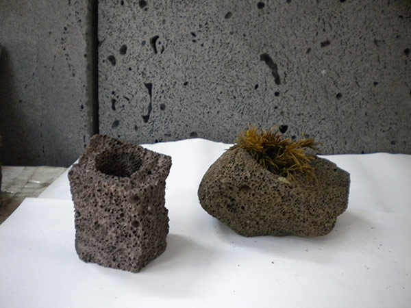 Volvano Rock Flowerpot-03