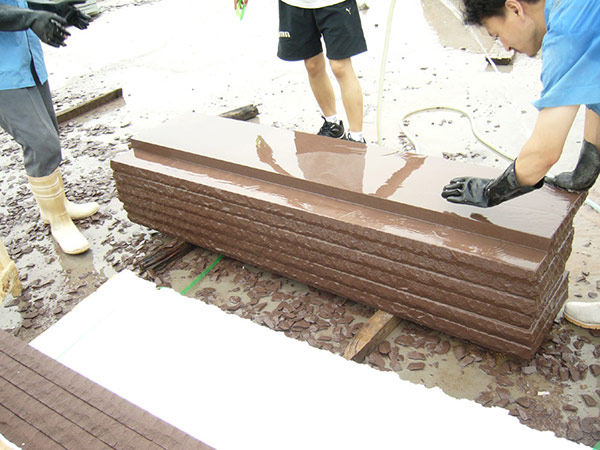 Brown Sandstone-0810